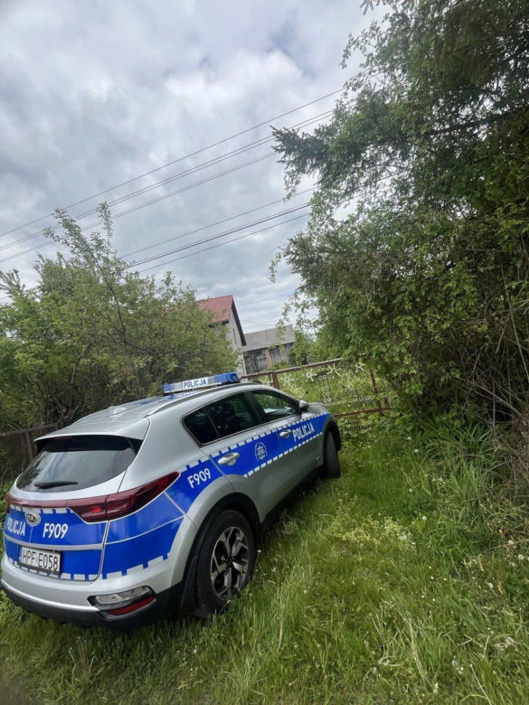 Dziewięć szczeniąt uratowanych. Wspólna akcja policji i schroniska 