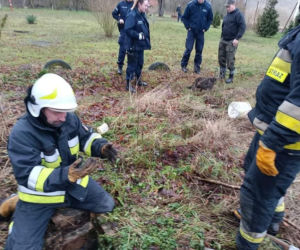 Pies wpadł do szamba. Strażacy z Wolina uratowali mu życie