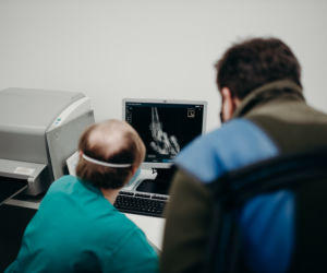 Szok na Śląsku. Postrzelone czaple białe leżały zakrwawione na zamarzniętym stawie [ZDJĘCIA]