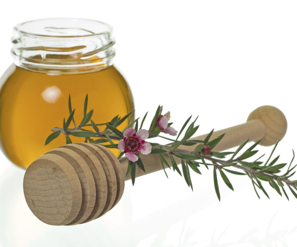 Miód manuka