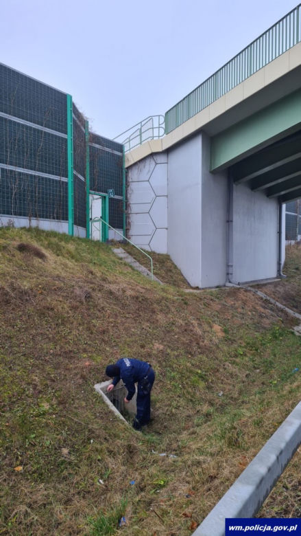 Napierki. Dwa przemoczone szczeniaki znalezione na S7. Uratowali je policjanci