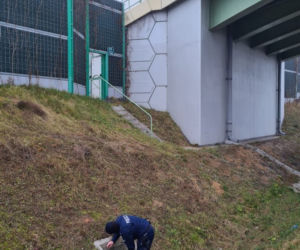 Napierki. Dwa przemoczone szczeniaki znalezione na S7. Uratowali je policjanci
