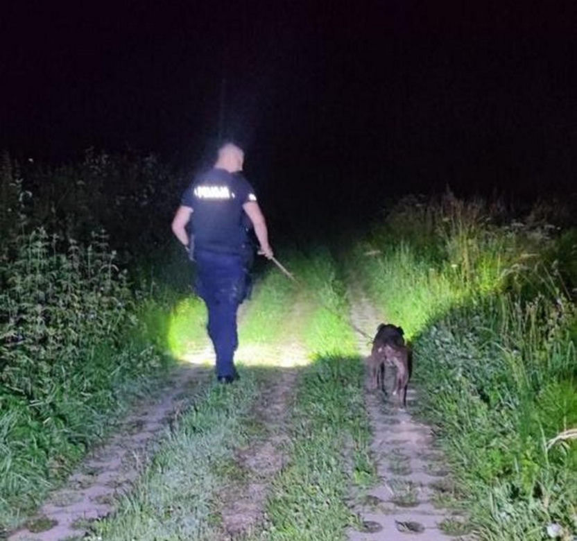  ZŁodzieje ukradli pitbulla.