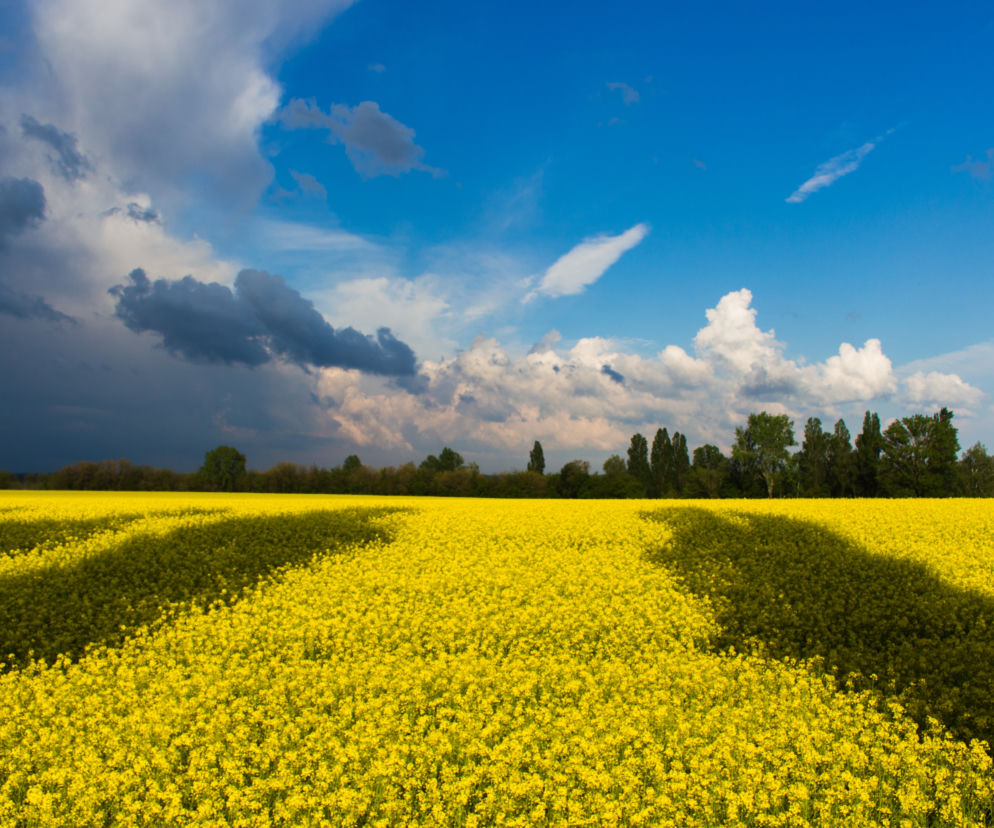 ukraina