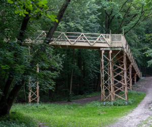 Niebezpieczna ścieżka