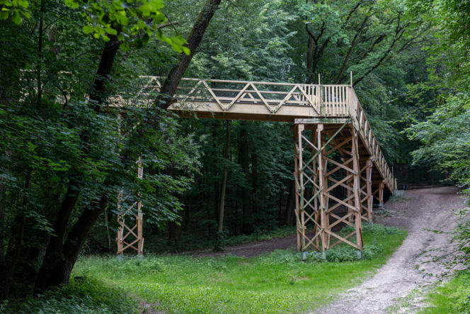 Niebezpieczna ścieżka