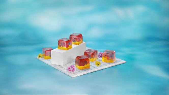 Lato smakuje galaretką – marka WINIARY zaprasza do świata kolorowych deserów i Iced Jelly Tea! 