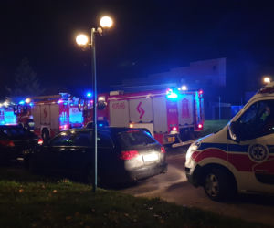 Bełchatów. Interwencja służb w jednym z klubów