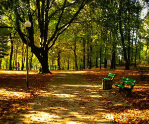 Park Piastowski