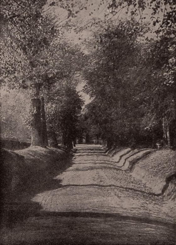 Nałęczów
