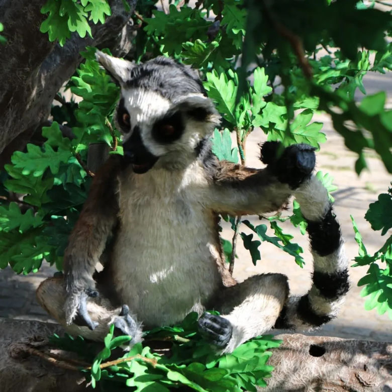 Zoo w Eberswalde