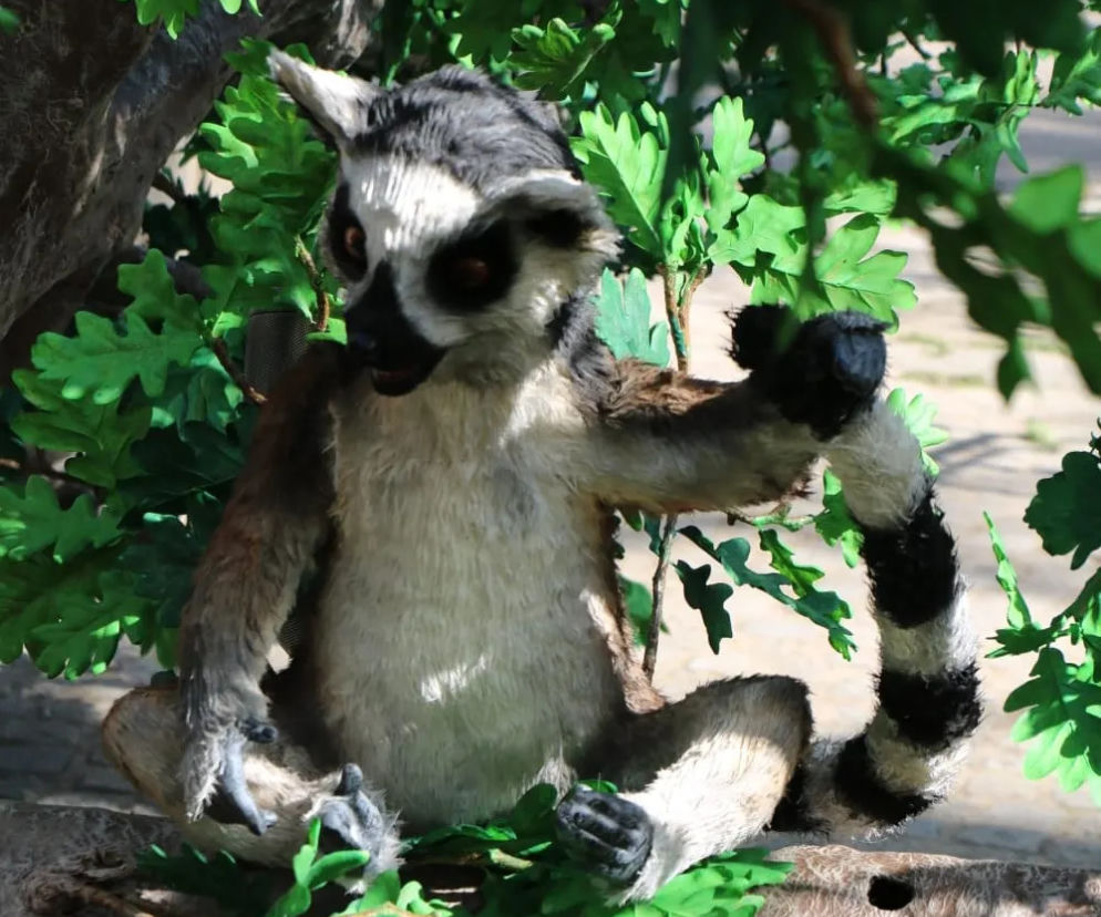 Zoo w Eberswalde