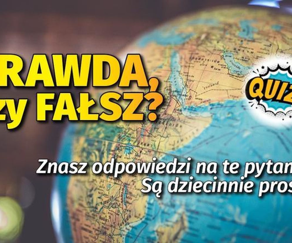 Quiz. Prawda czy fałsz: Dziecinnie proste pytania. Ile punktów zdobędziesz?
