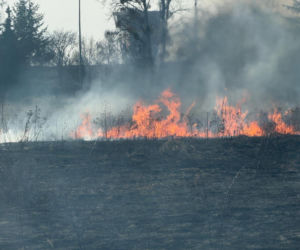 Mazowsze płonie, zaczęło się wypalanie traw