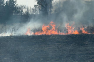 Mazowsze płonie, zaczęło się wypalanie traw
