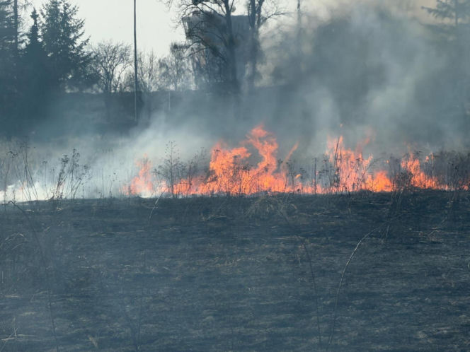 Mazowsze płonie, zaczęło się wypalanie traw
