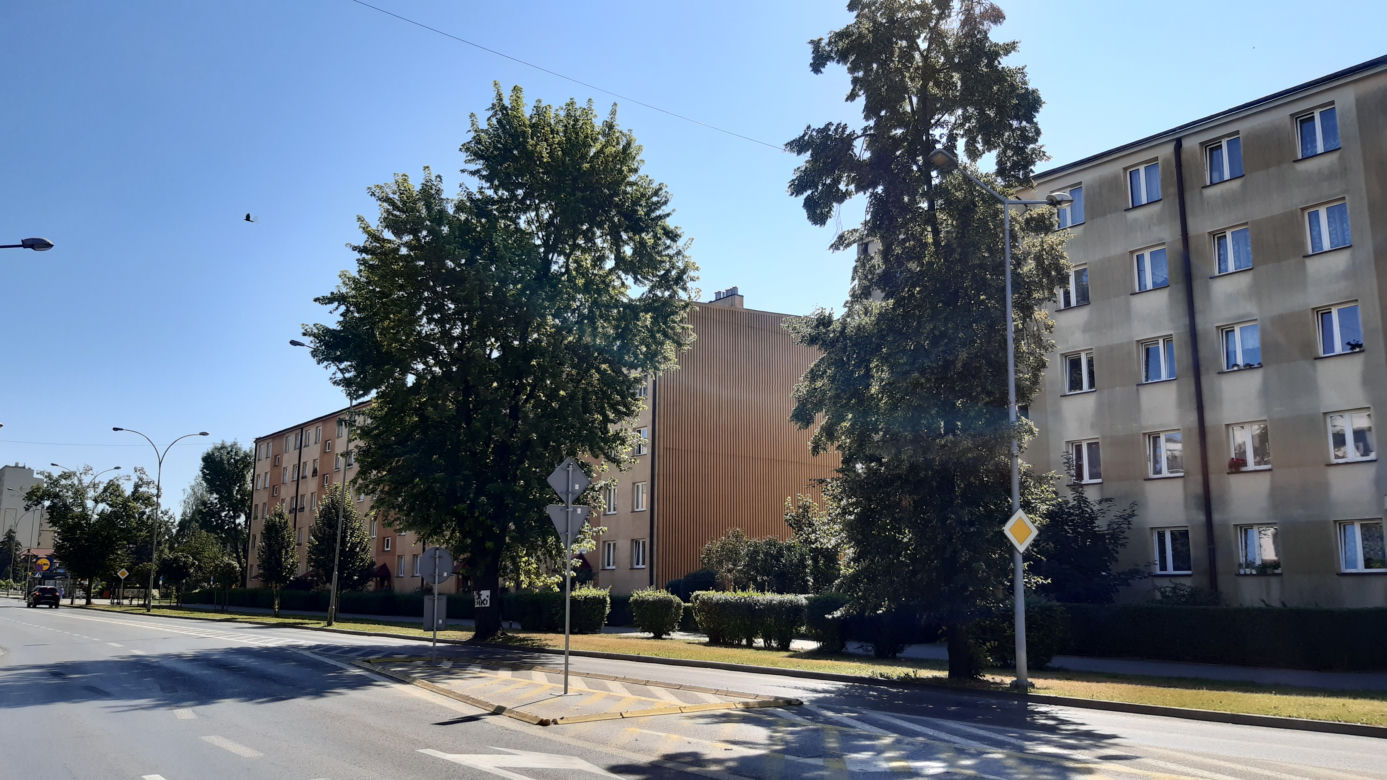 Wycinka drzewa oprotestowana
