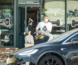 Miley Cyrus i Cody Sipmson kupują psom posłania i jedzenie