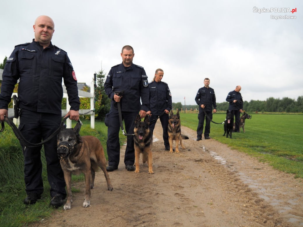 Jarika, suczka owczarka belgijskiego, po latach pracy w policji przeszła na emeryturę