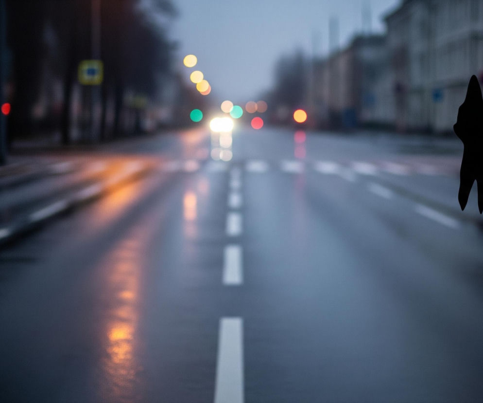 Po lewej stronie drogi widoczny jest czarny, niewyraźny kształt osoby stojącej. Droga jest mokra, odzwierciedlając światła uliczne i pojazdów, tworząc smugi jasnych, rozmytych kolorów, głównie pomarańczowych, białych i zielonych. Białe, przerywane linie wyznaczają pasy ruchu oraz przejście dla pieszych. W tle, po obu stronach ulicy, znajdują się rozmazane budynki i drzewa, a także światła uliczne w różnych kolorach.