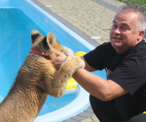 Leszek Bielenda i jego lew