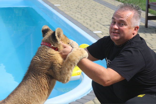 Leszek Bielenda i jego lew