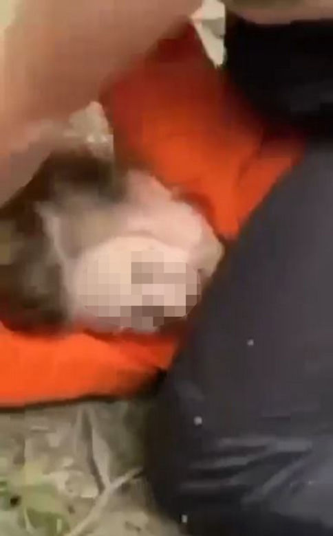 Brutalna bójka dwóch nastolatek w Gorlicach! Świadkowie jeszcze zagrzewali je do walki [ZDJĘCIA]