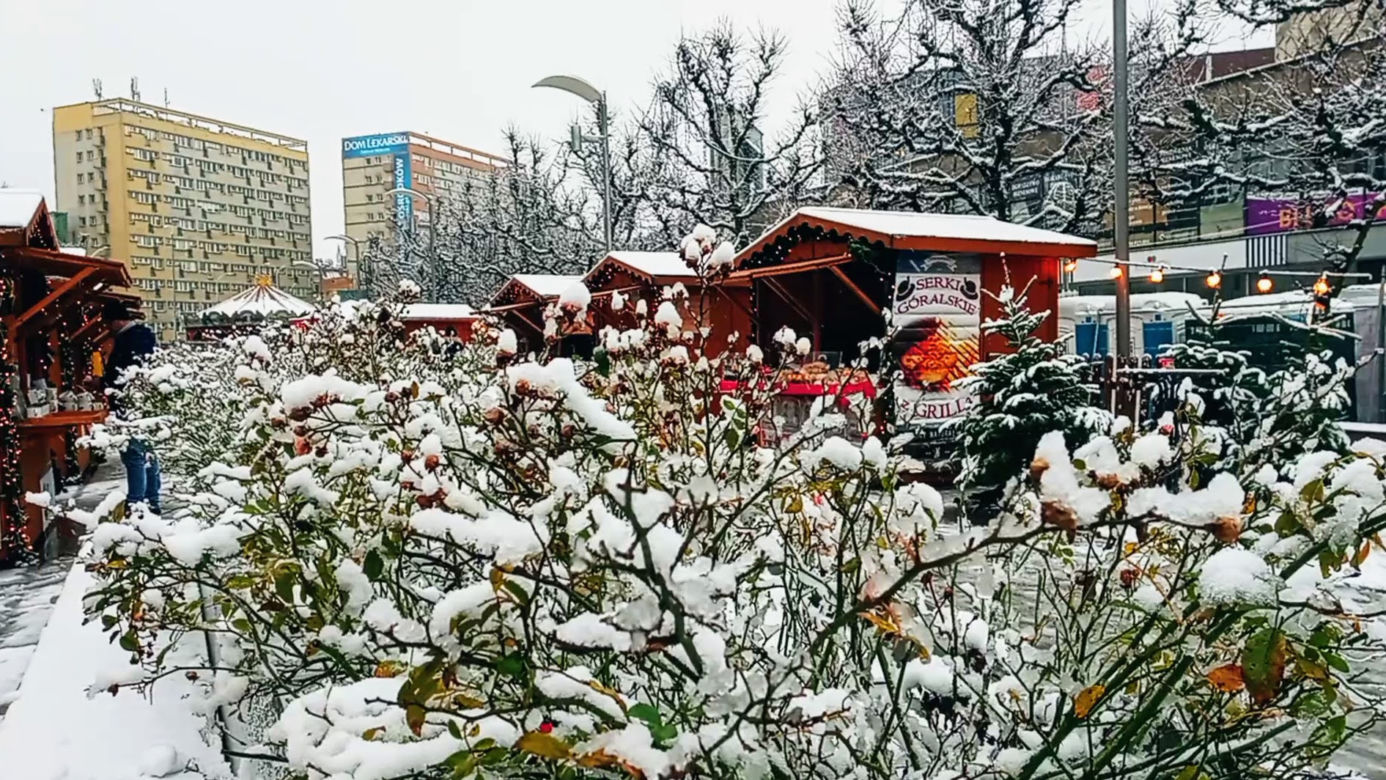 Pierwszy śnieg w Szczecinie