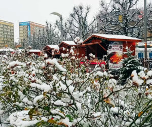 Pierwszy śnieg w Szczecinie