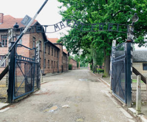 archiwum