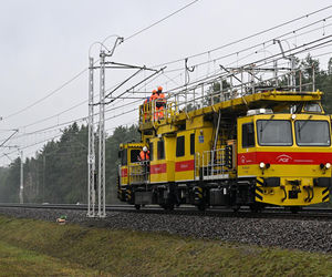 Nagłe zatrzymanie pociągu pod Puławami. Mamy zdjęcia!