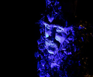 Bajkowe iluminacje w Ogrodzie Botanicznym we Wrocławiu