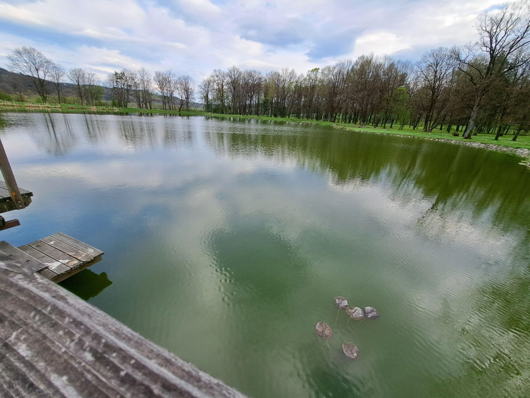 Centrum Paderewskiego w Kąśnej Dolnej