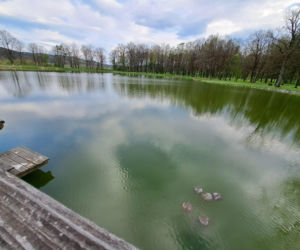 Centrum Paderewskiego w Kąśnej Dolnej