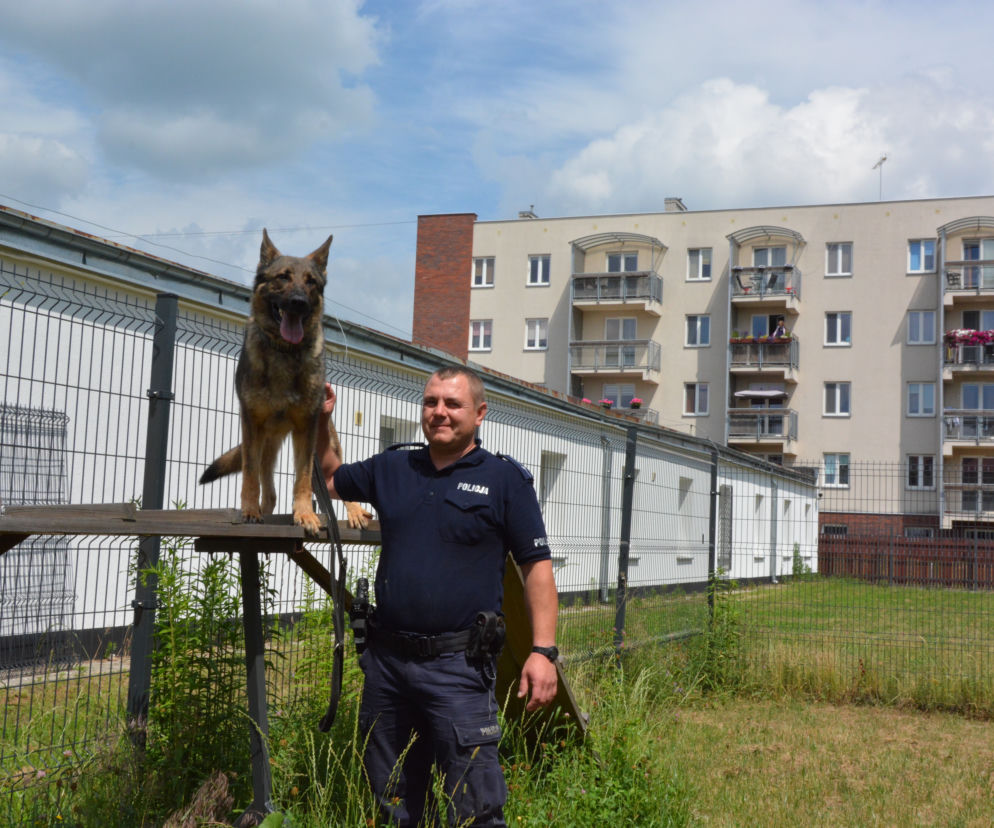 Kastylia namierzyła nietrzeźwego sprawcę kolizji