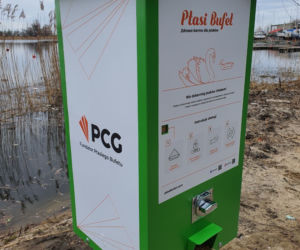 Pierwsze ptasie bufety stanęły w Szczecinie