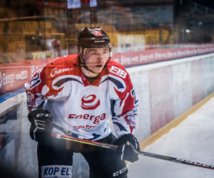 KH Energa Toruń - Tauron Podhale Nowy Targ 6:2, zdjęcia kibiców z Tor-Toru 