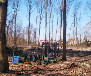 Katowice: Leśnicy sadzą na Muchowcu nowe drzewa [ZDJĘCIA, AUDIO]