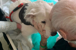 Nie widzieli się od miesięcy. Wzruszające spotkanie w szpitalu w Legnicy