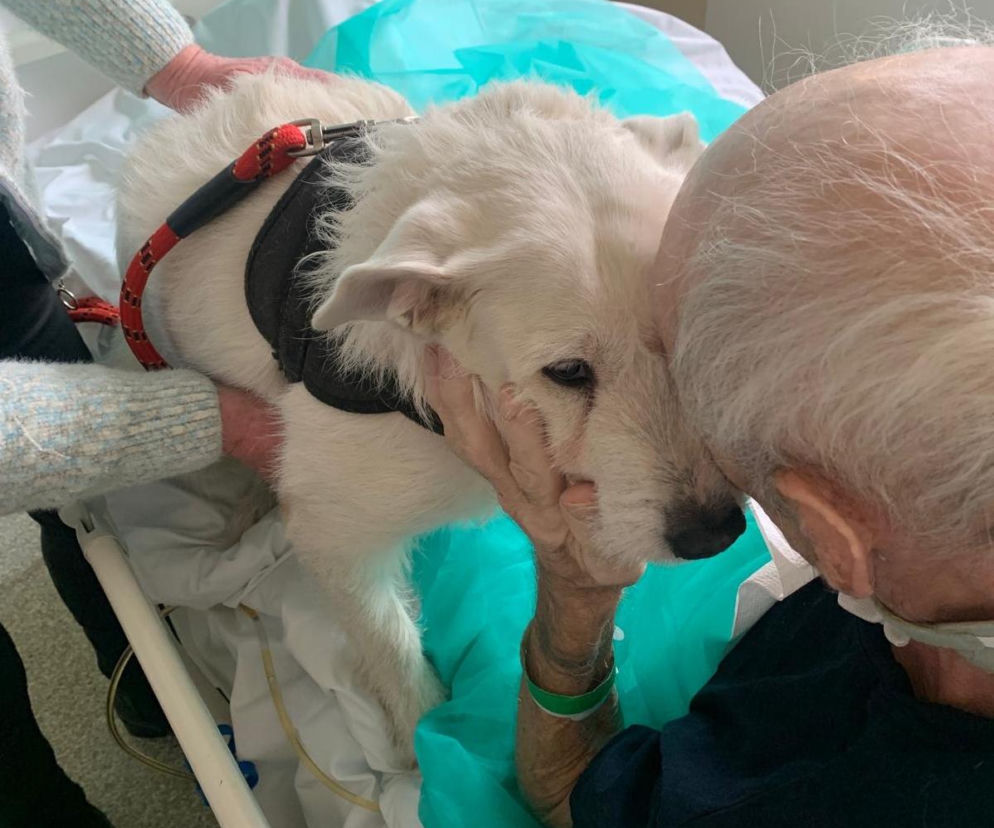 Nie widzieli się od miesięcy. Wzruszające spotkanie w szpitalu w Legnicy