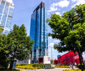 Green coding obniża koszty w firmach