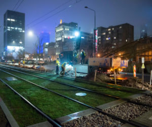 Nowe drzewa na ul. Marszałkowskiej w Warszawie