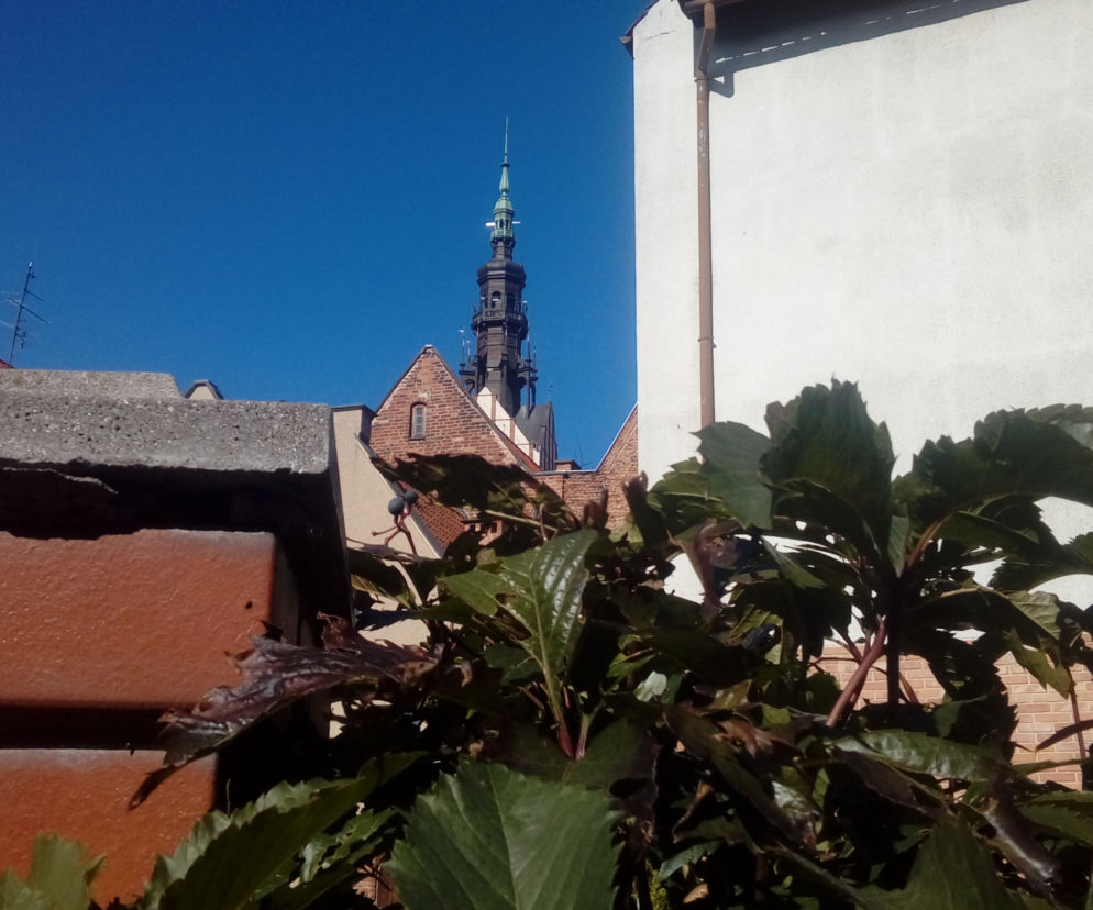 Elbląska Starówka