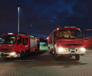  Łosie chciały popływać w basenie. Nie umiały wyjść