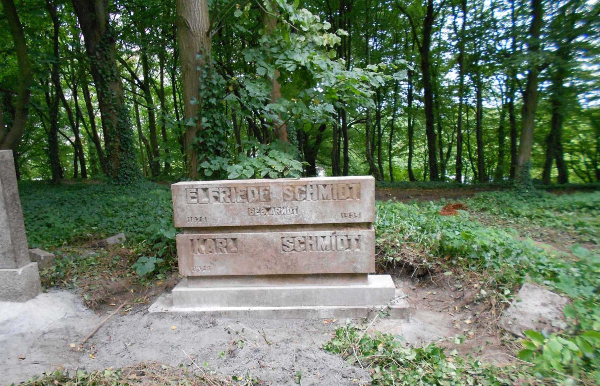 Zaniedbany stary cmentarz przy ul. Ostrowskiej zmienia się w piękny park