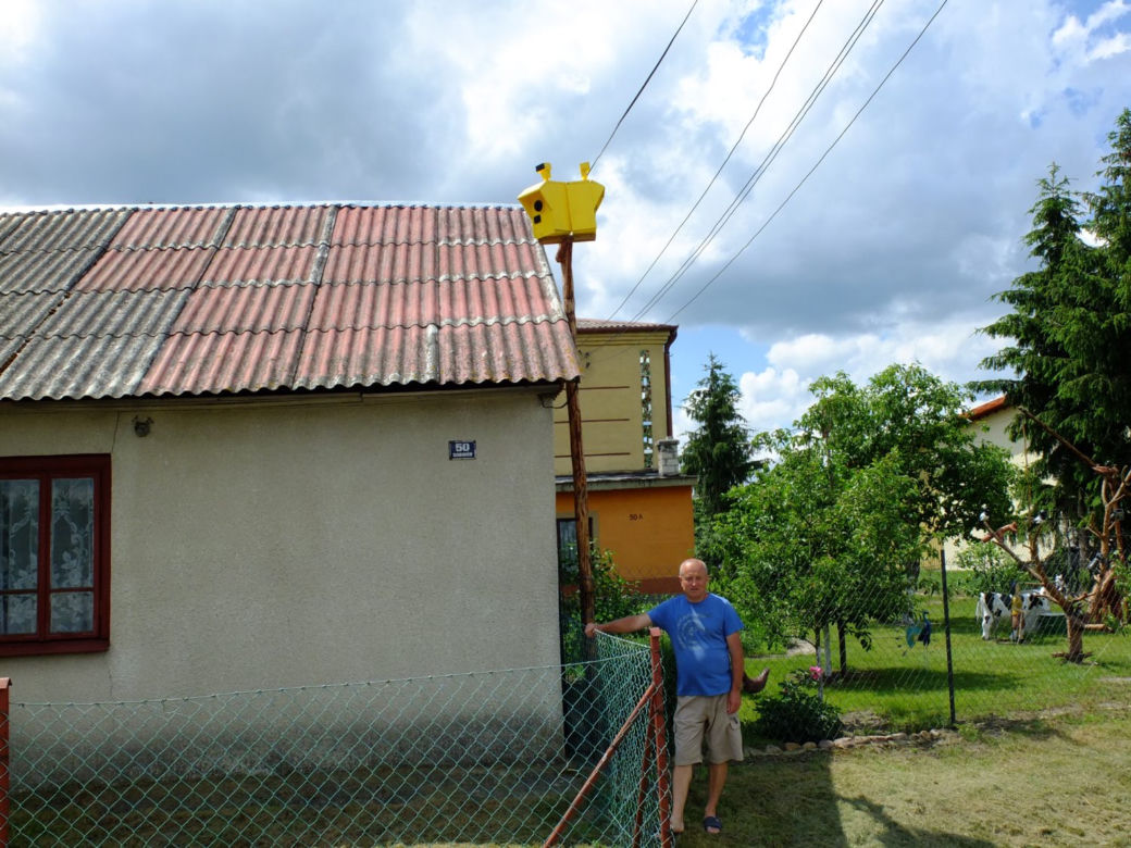 Szpaki straszą piratów