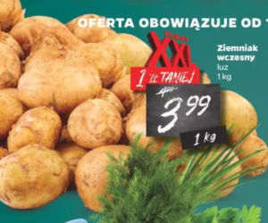 Promocje w Netto