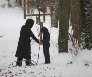 Marta Kaczyńska z synem i psami na sankach w lesie