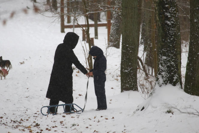 Marta Kaczyńska z synem i psami na sankach w lesie