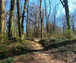 Wieża Baresela nad Jeziorem Szmaragdowym